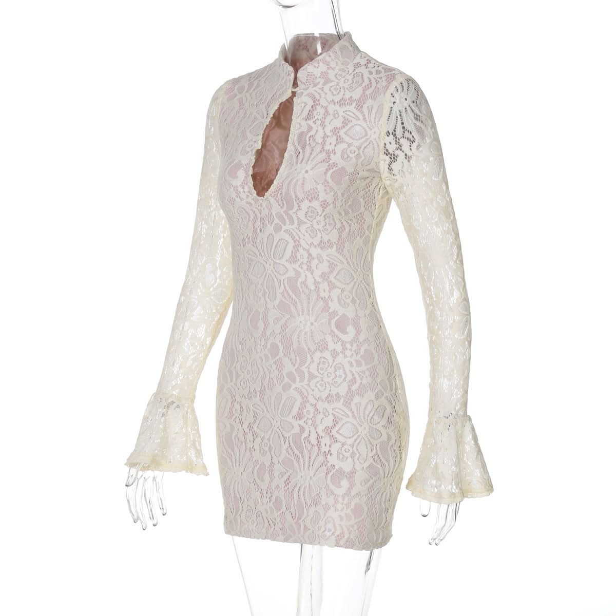 Brianna Lace Mini Dress